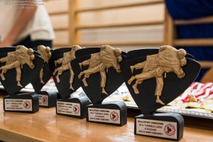statuetki judo w rządku sobie stały statuetki czarne judo ustawione w rzędzie przygotowane na turniej