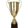 puchar-trofeum-nagroda na turniej