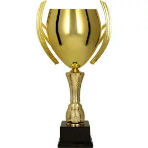 Puchar Trofeum 3144