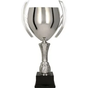 Puchar Trofeum 3145
