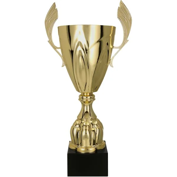 puchar-trofeum-ogolny-nagroda