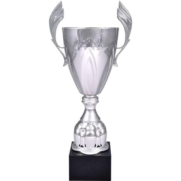 puchar-trofeum-nagroda-ogolny