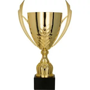 Puchar Trofeum 4224