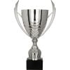 puchar-trofeum-nagroda