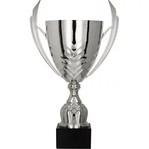 Puchar Trofeum 4225