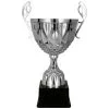 puchar-trofeum-nagroda