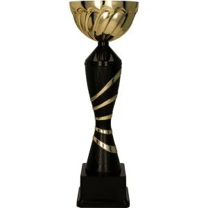 Puchar Trofeum 7222