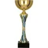trofeum-puchar