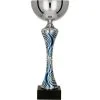 trofeum-puchar