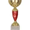trofeum-puchar