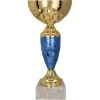 trofeum-puchar