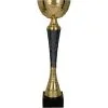 trofeum-puchar
