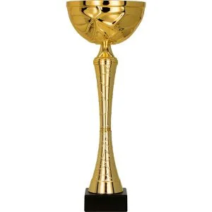 Puchar Trofeum 9251