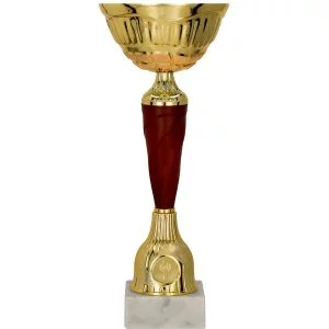 Puchar Trofeum 9257