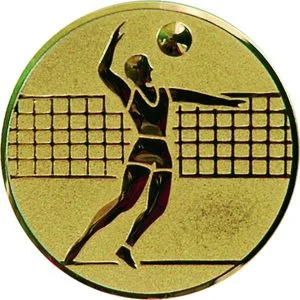 Emblemat Siatkówka A6/G
