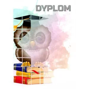 Dyplom 157 Edukacja Sowa.