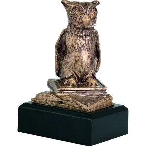 Statuetka Szkolnictwo RTY630 Sowa