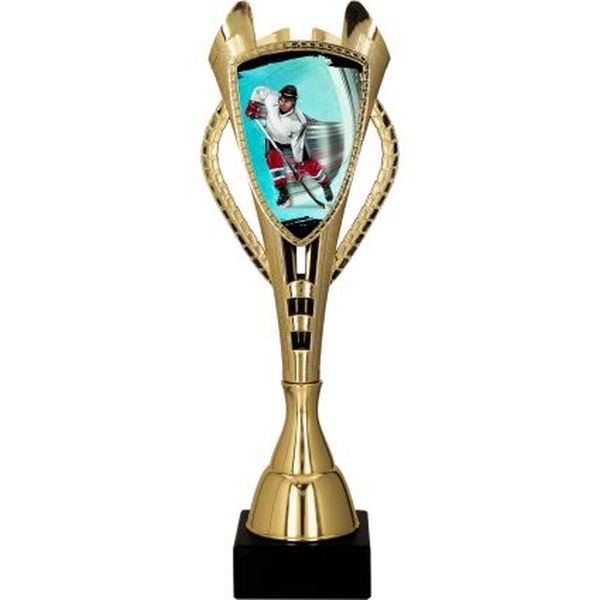 Puchar-trofeum-hokej