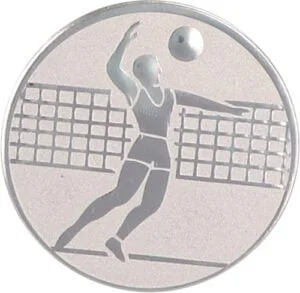 Emblemat Siatkówka A6/S