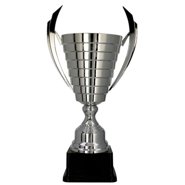 Puchar Trofeum 2082