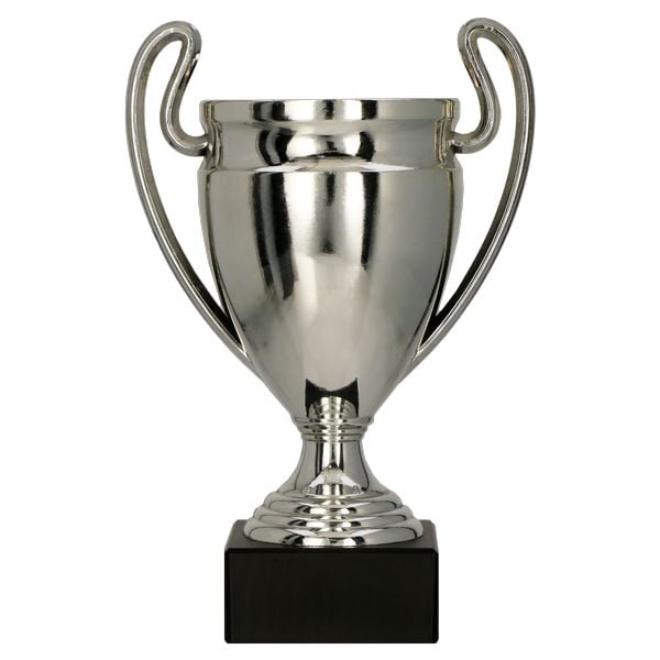 Puchar trofeum ogólne