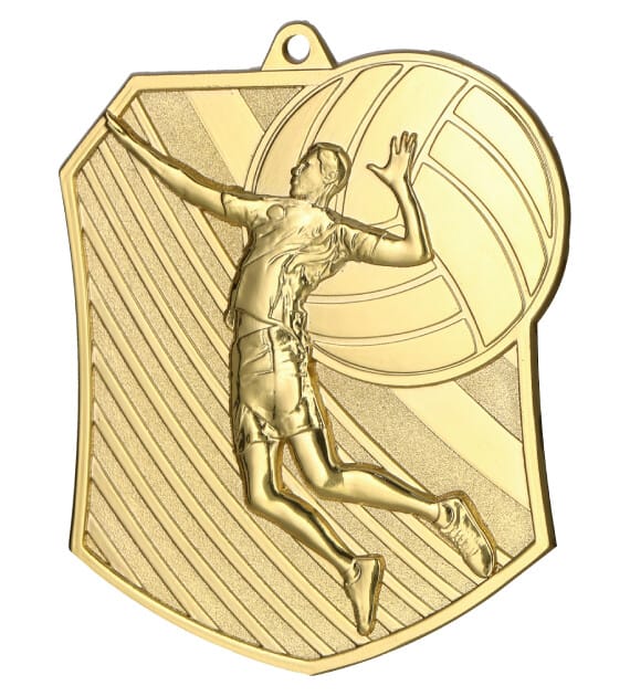 Medal złoty – siatkówka  MD8047