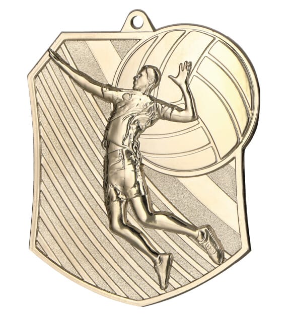 medal-srebrny-siatkowka